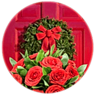 CHRISTMAS FLOWERS