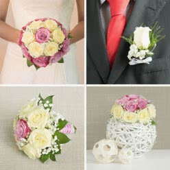THE ONE WEDDING COLLECTION