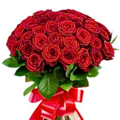 RED EXUBERANCE