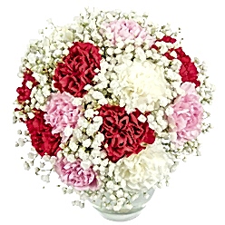 WARM WISHES