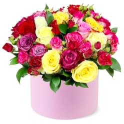 ALLURING BLOOMS 