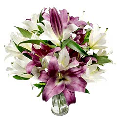 MARVELOUS BLOOMS