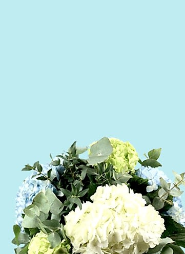 Same day Flowers 